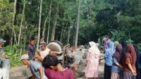 WhatsApp Image 2026-05-14 at 11.54.05
