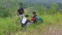 IMG-20260725-WA0101
