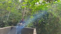 IMG-20260731-WA0049