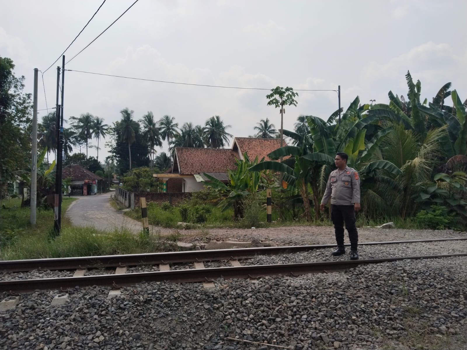 WhatsApp Image 2026-07-01 at 13.11.51