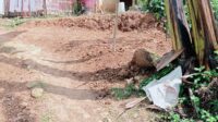 WhatsApp Image 2026-07-19 at 16.36.18