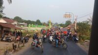 WhatsApp Image 2026-08-11 at 19.59.37 (1)