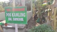 WhatsApp Image 2026-08-12 at 08.44.31 (1)