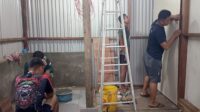 WhatsApp Image 2026-08-12 at 12.19.08